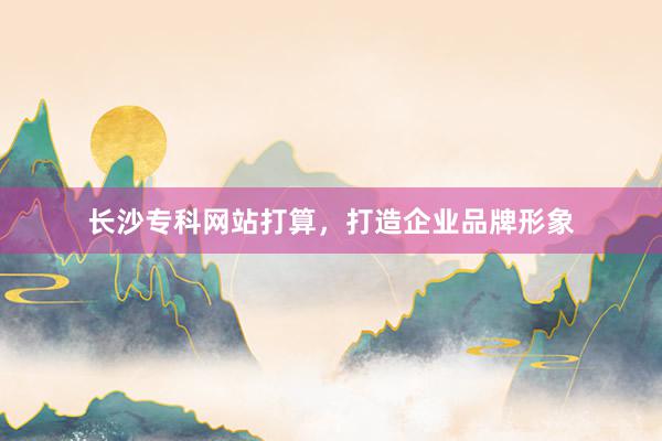 长沙专科网站打算，打造企业品牌形象