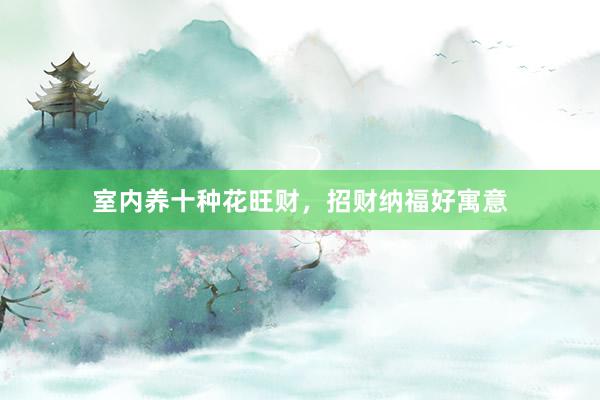 室内养十种花旺财，招财纳福好寓意