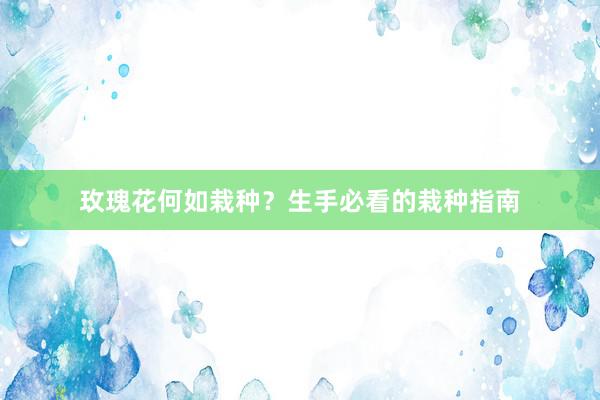 玫瑰花何如栽种？生手必看的栽种指南
