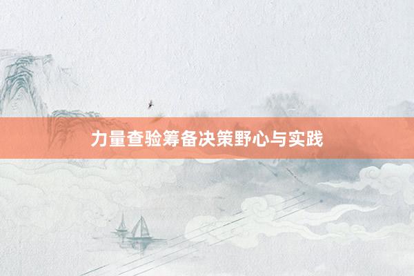 力量查验筹备决策野心与实践