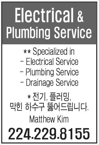 Electrical and Plumbing Service -8155